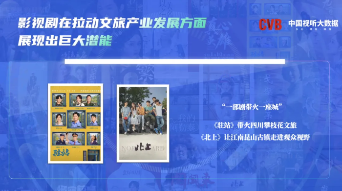 CVB数据发布：2025上半年电视剧收视报告(图8)