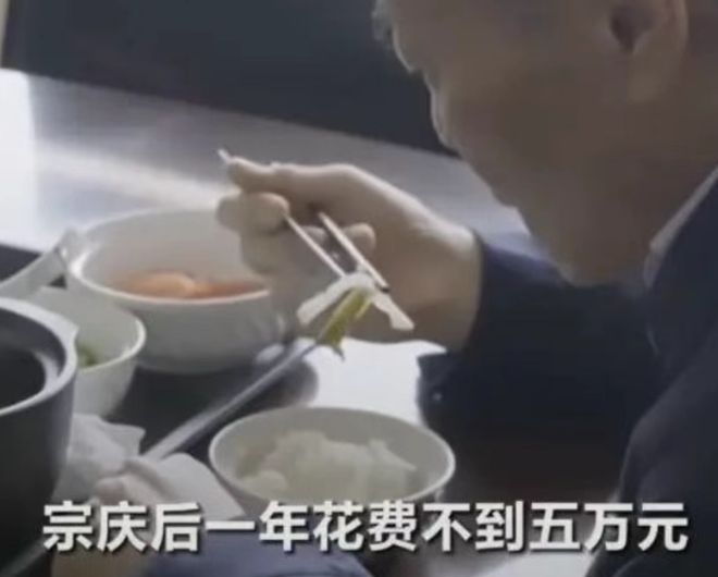 私生子开抢150亿遗产娃哈哈变“娃多多”！这瓜比电视剧还精彩(图8)