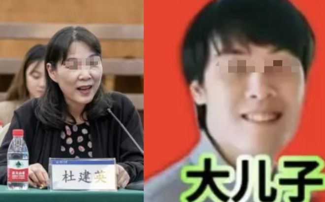 私生子开抢150亿遗产娃哈哈变“娃多多”！这瓜比电视剧还精彩(图12)