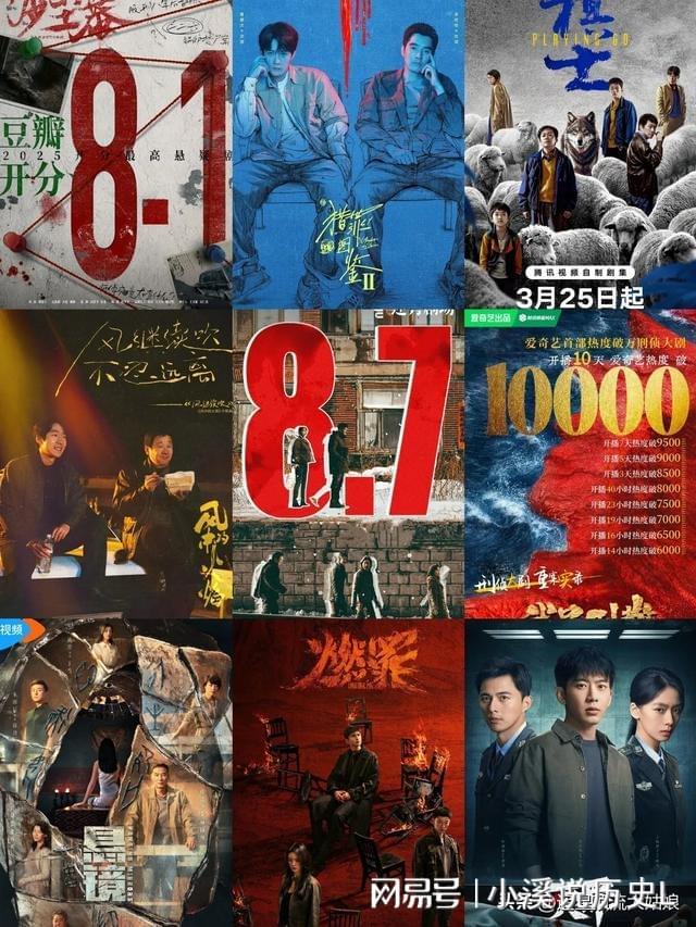 给2025年最好10部刑侦悬疑剧排名：灭