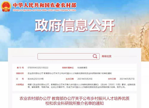 电影推荐：狼狗系列韩剧推荐电影有哪些（狼狗系列韩剧有哪些名字）(图1)