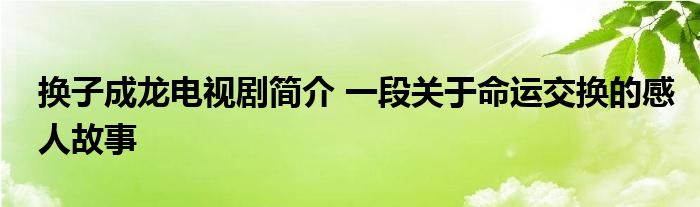 换子成龙电视剧简介一段关于命运交换的感人故事(图1)