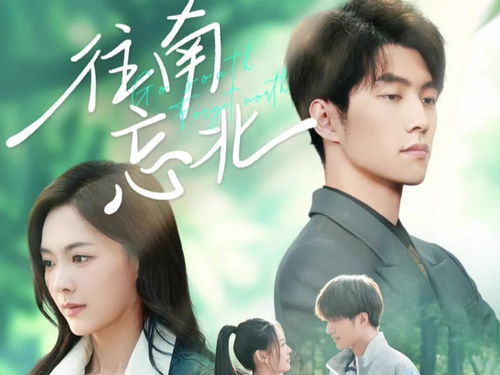 免费短剧:大结局免费看短剧全集(电视剧2020)