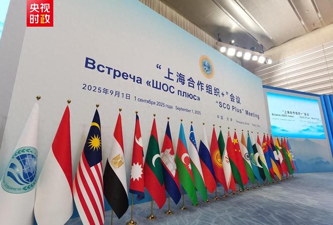 全员赞成天津宣言通过印度得到真正的实惠莫