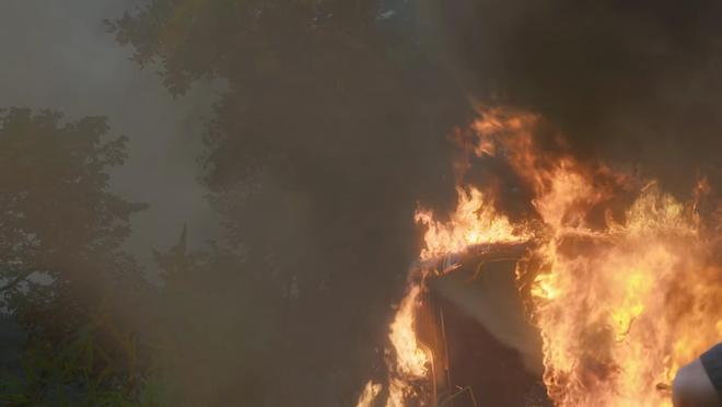 24集缉毒剧今晚播3平台力推李少红执导阵容强大收视要爆(图13)