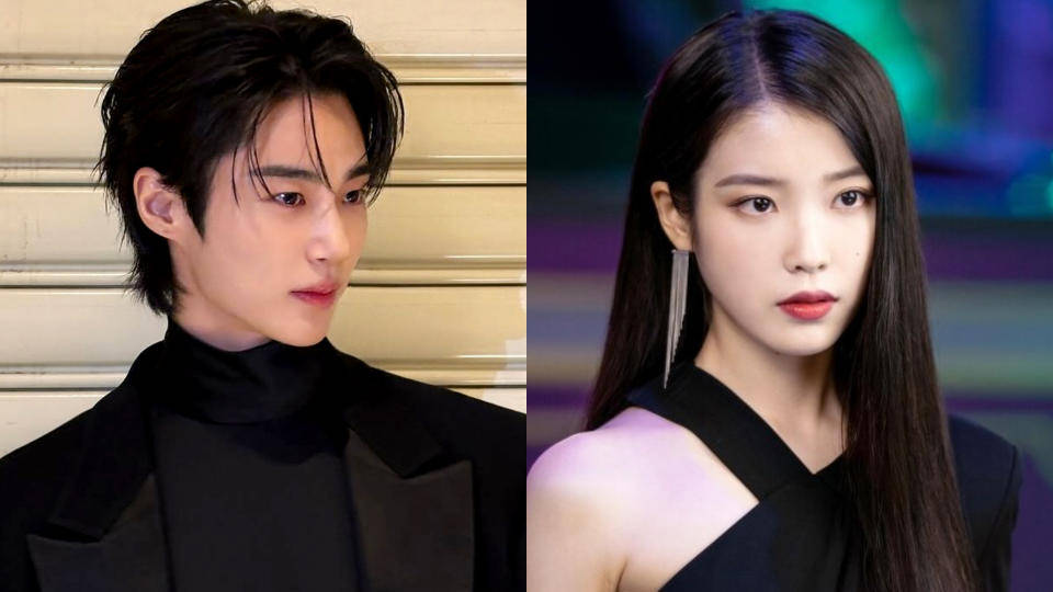 2025备受期待15部韩剧：IU边佑锡《21世纪大君夫人》、《元敬(图5)