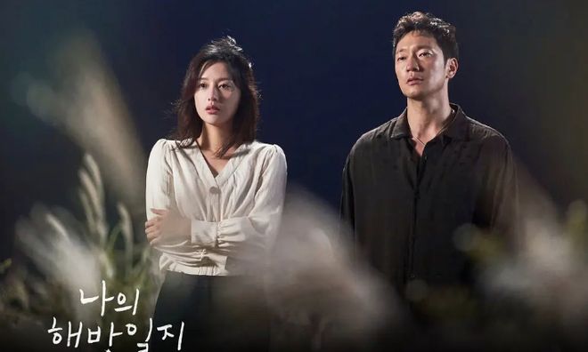 宅家必备的8部宝藏韩剧每部都是下饭神剧建议收藏(图6)