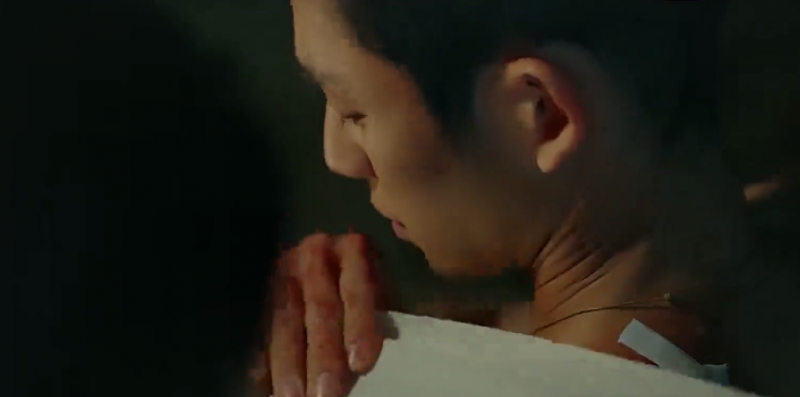 雪滴花历史背景更新时间雪滴花在哪里看讲什么