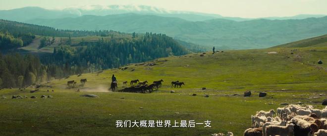 CCTV1新剧《红石榴餐厅》首播连看2集我要说：央视这回又押对了(图5)