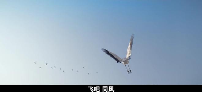 CCTV1新剧《红石榴餐厅》首播连看2集我要说：央视这回又押对了(图13)