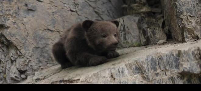 CCTV1新剧《红石榴餐厅》首播连看2集我要说：央视这回又押对了(图27)