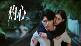 吾岸电视剧全集免费播放