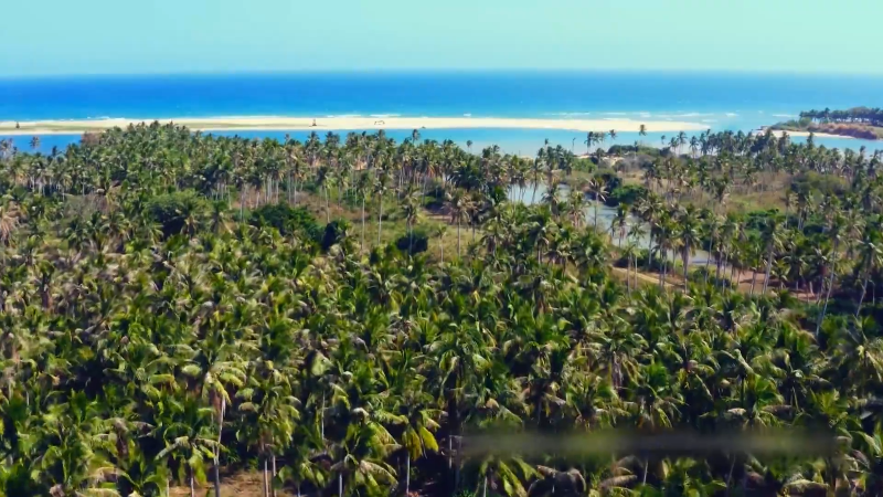 9天“史上最长”春节点燃出游热情欧洲度假成新宠(图2)