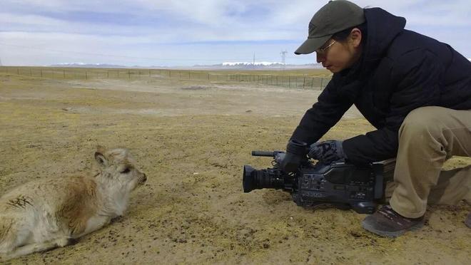别只追《生命树》！它震撼灵魂的原型藏在成都广电这部豆瓣95分的《平衡》里(图10)